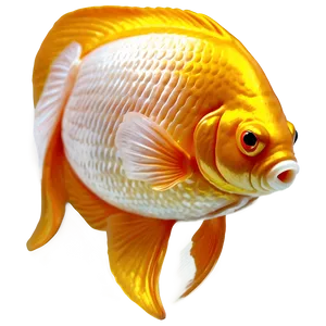 Gold Goldfish PNG Clv76