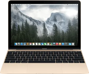 Gold Mac Book Front View