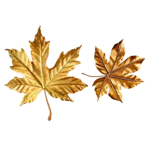 Gold Maple Leaves PNG 76 PNG