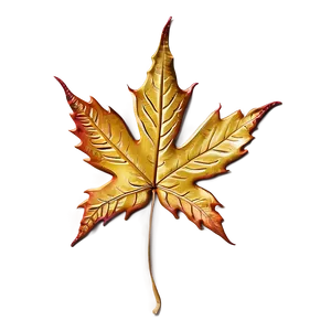 Gold Maple Leaves PNG Nqx28 PNG