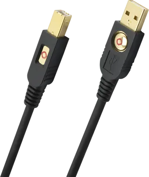 Gold Plated U S B Cable