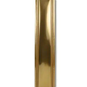 Gold Trim Highlight PNG Iip11 PNG
