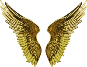 Golden Angel Wings