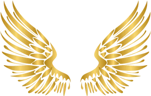 Golden Angel Wings Graphic PNG image