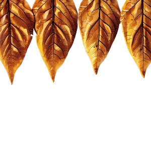 Golden Autumn Leaves Png Bfy PNG image