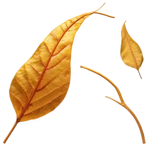 Golden Autumn Leaves Png Pxx PNG image