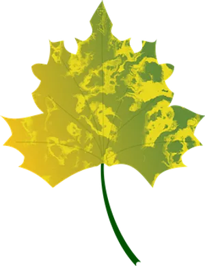Golden Autumn Maple Leaf PNG