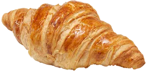 Golden Baked Croissant