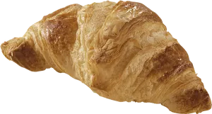 Golden Baked Croissant