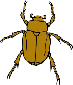 Golden Beetle Silhouette PNG image