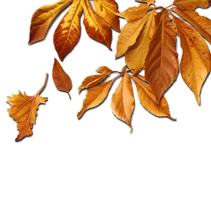 Golden Brown Fallen Leaves Png 06292024 PNG image