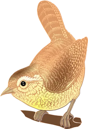 Golden Brown Illustrated Bird
