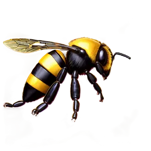 Golden Bumblebee Variant PNG Xuh52 PNG