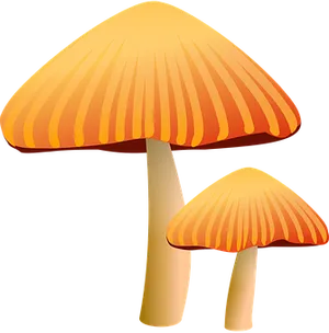 Golden Capped Mushrooms Illustration PNG image