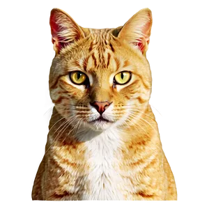 Golden Cat Filter PNG Tyv