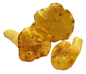 Golden Chanterelle Mushrooms.png PNG image