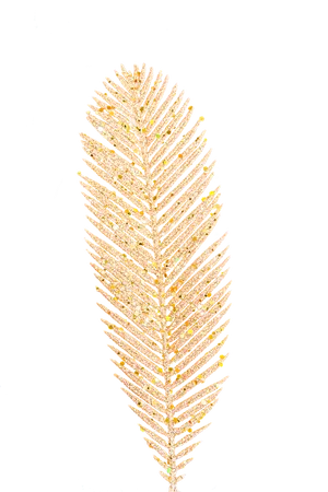 Golden Christmas Tree Branch Sparkle PNG image