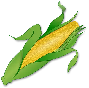 Golden Corn Ear Illustration PNG image