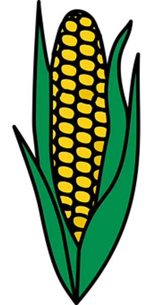 Golden Corn Ear Vector Illustration PNG image