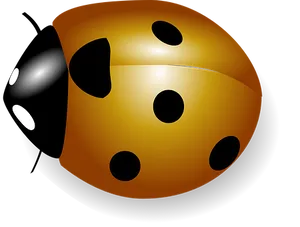 Golden Dice Black Background