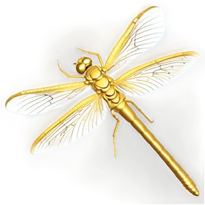Golden Dragonfly Png Cdi PNG image