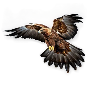 Golden Eagle Aerial View Png Uts16 PNG image