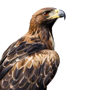 Golden Eagle Close-up Png Rvp PNG image