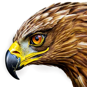 Golden Eagle Eye Detail PNG 66 PNG