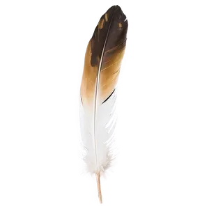 Golden Eagle Feather Png 11 PNG image