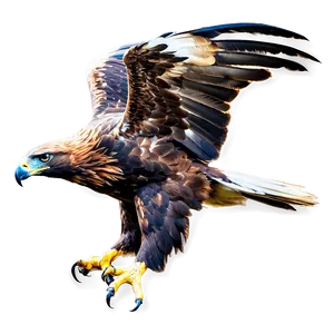 Golden Eagle Flapping Wings Png Xkj54 PNG image