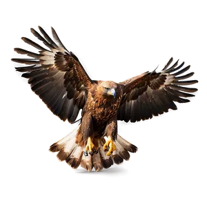 Golden Eagle In Dynamic Pose PNG Gwx PNG