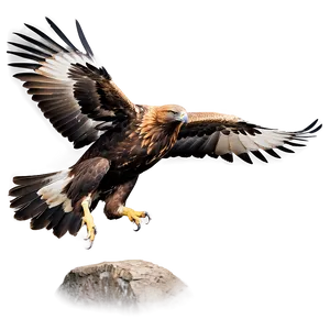 Golden Eagle In Dynamic Pose PNG Pmf
