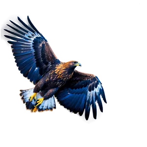 Golden Eagle In Flight PNG 06202024