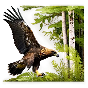 Golden Eagle In Forest Setting PNG 06202024 PNG