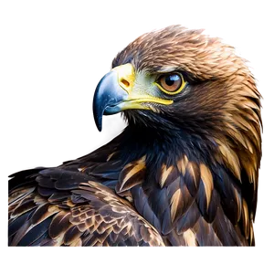 Golden Eagle In Majestic Pose PNG 06202024
