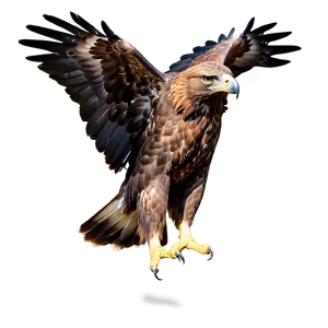 Golden Eagle In Majestic Pose PNG 13 PNG