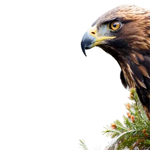 Golden Eagle In Natural Habitat PNG 66 PNG
