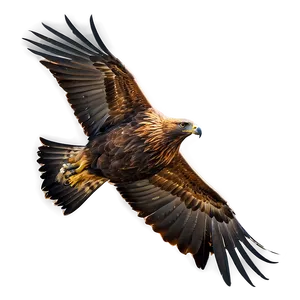 Golden Eagle In Serene Setting PNG Cwt63 PNG