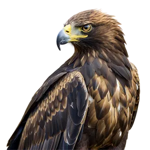 Golden Eagle In Serene Setting PNG Kno PNG