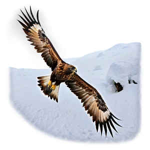Golden Eagle In Snow PNG 06202024