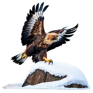 Golden Eagle In Snow PNG Gas1 PNG