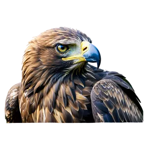 Golden Eagle In Snow Png Jhr74 PNG image