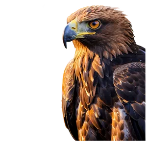 Golden Eagle In Sunset Light Png 59 PNG image