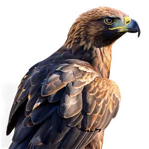 Golden Eagle In Sunset Light Png Qau9 PNG image