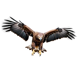 Golden Eagle Landing PNG Dky