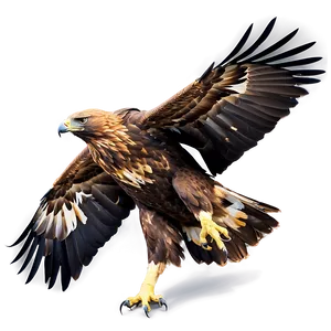 Golden Eagle Mating Dance Png 39 PNG image