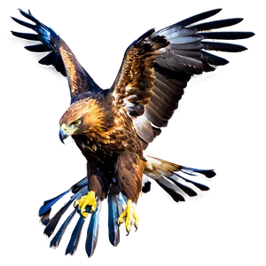 Golden Eagle Mating Dance PNG Maj PNG