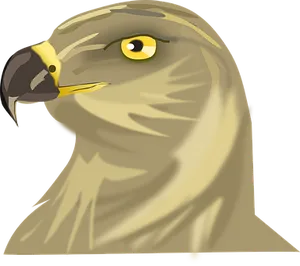 Golden Eagle Portrait Illustration