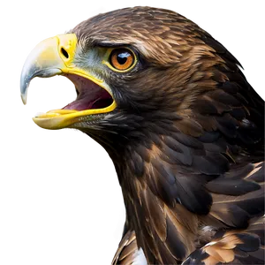 Golden Eagle Screaming Png 06202024 PNG image