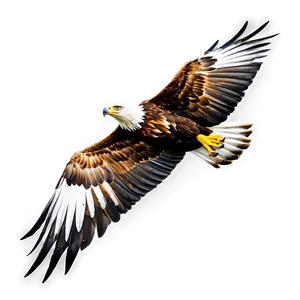 Golden Eagle Side View PNG 6 PNG